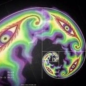 Meet your Posher, Jack